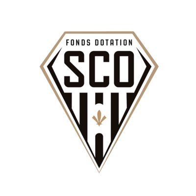 SCO fonds de dotation